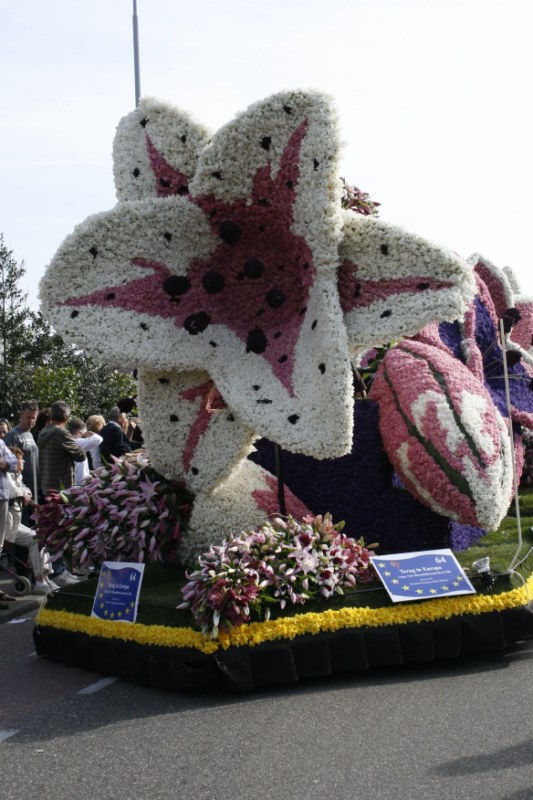 bloemencorso 200 [800x600].jpg