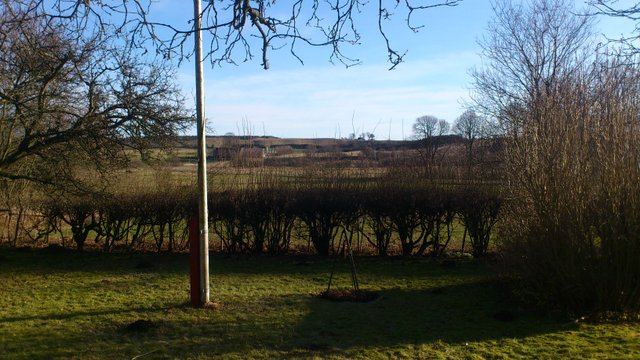 spring view from my garden