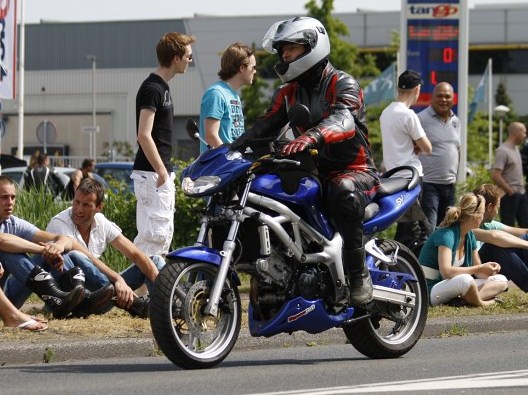 SV650 rider.jpg