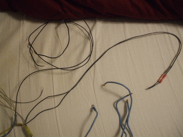 07 - black wires resized.jpg