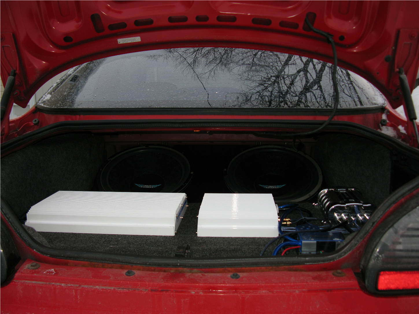 This is the trunk still need to build a cover