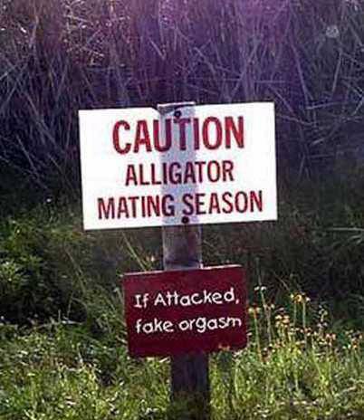 !cid_10_3114795176@web35805_mail_mud_yahoo.jpg