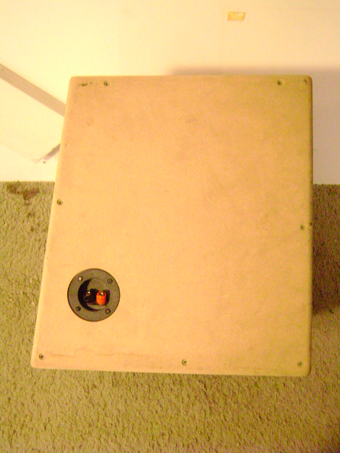 DSC07003.JPG