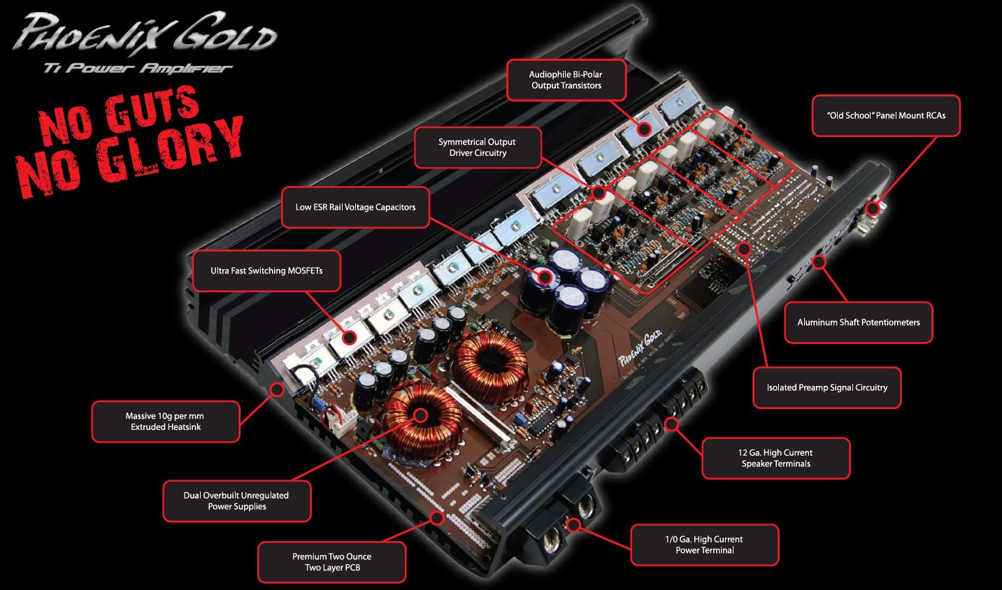 Ti Amp Guts.JPG