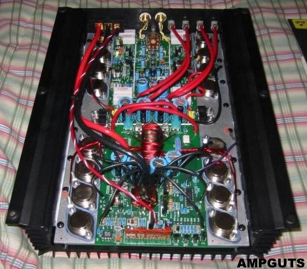 Here's a pic of the internals I got off of ampguts.