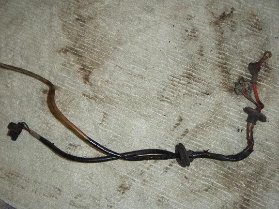 old harness.jpg
