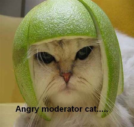 angry moderator.jpg