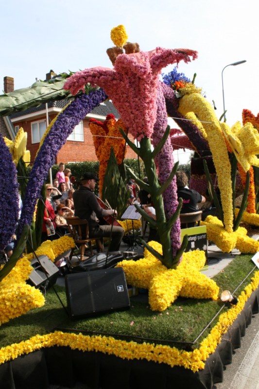 bloemencorso 100 [800x600].jpg