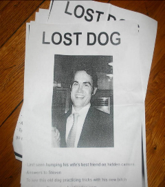 WP3.jpg