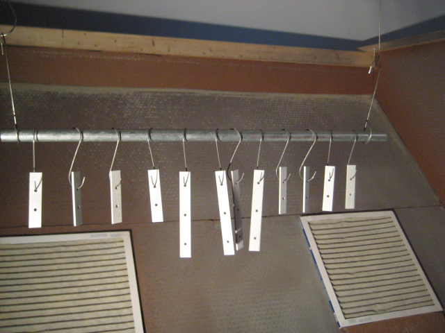 IMG_5785.jpg
