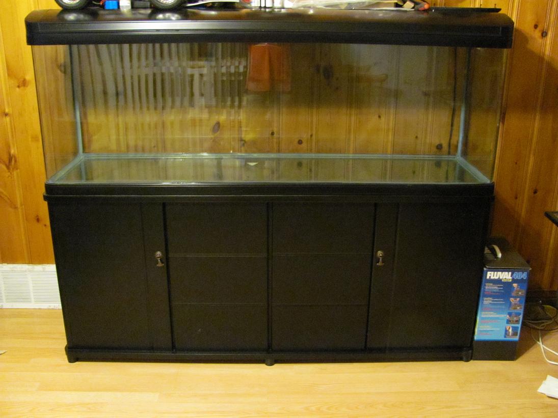 I'll put up another picture when I get some stuff in it.