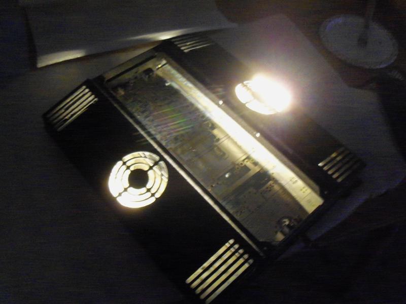 100_3788 (Medium).JPG