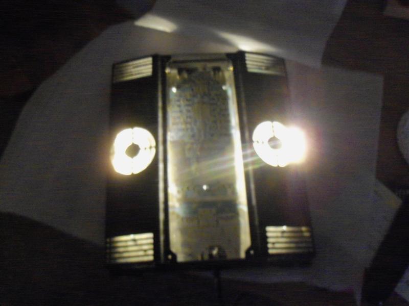 100_3787 (Medium).JPG