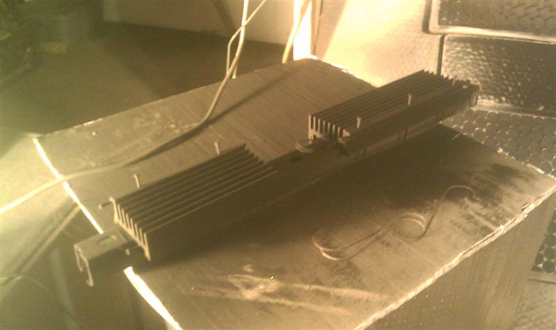 IMAG0044 (Medium).jpg