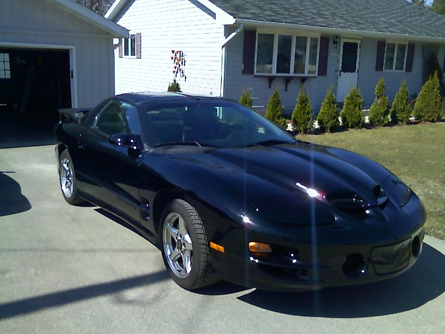 03-20-08_1257.jpg