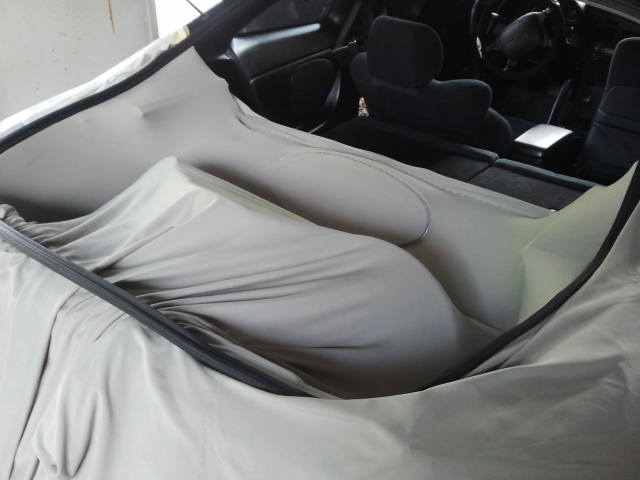 2011-05-29 15.37.04.jpg