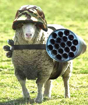 one mean ram.jpg
