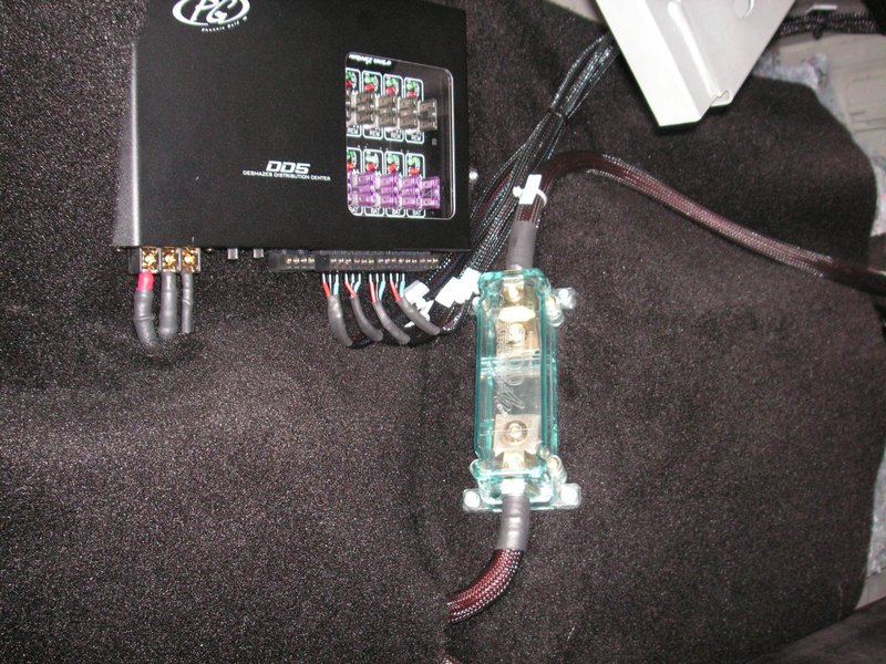 PICT0595.jpg