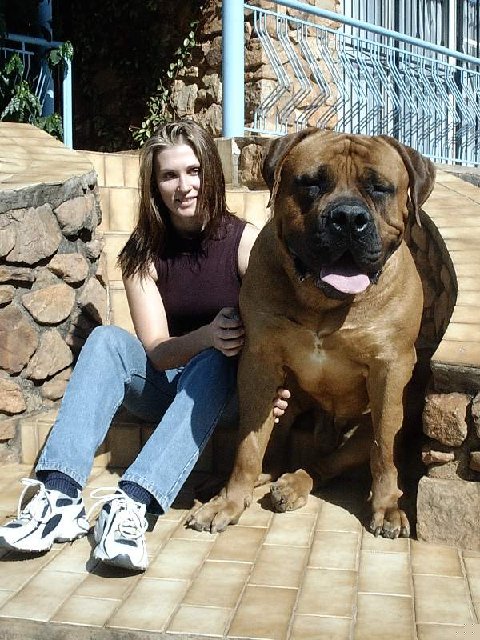 big dog.jpg