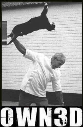 cat15.jpg