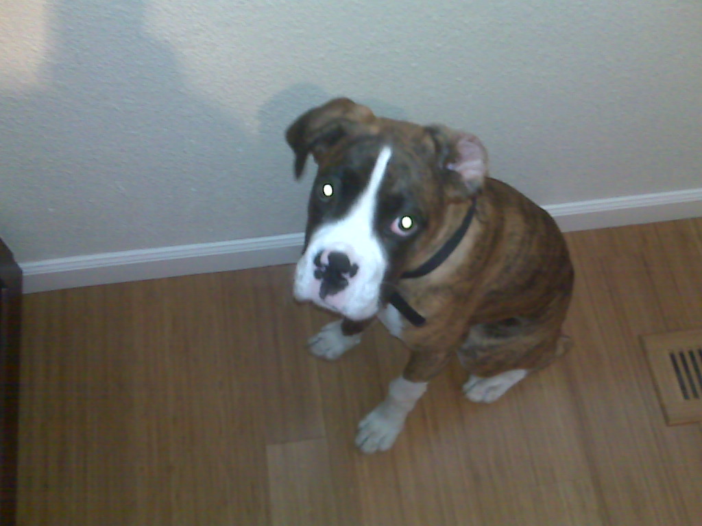 IMG00052.jpg