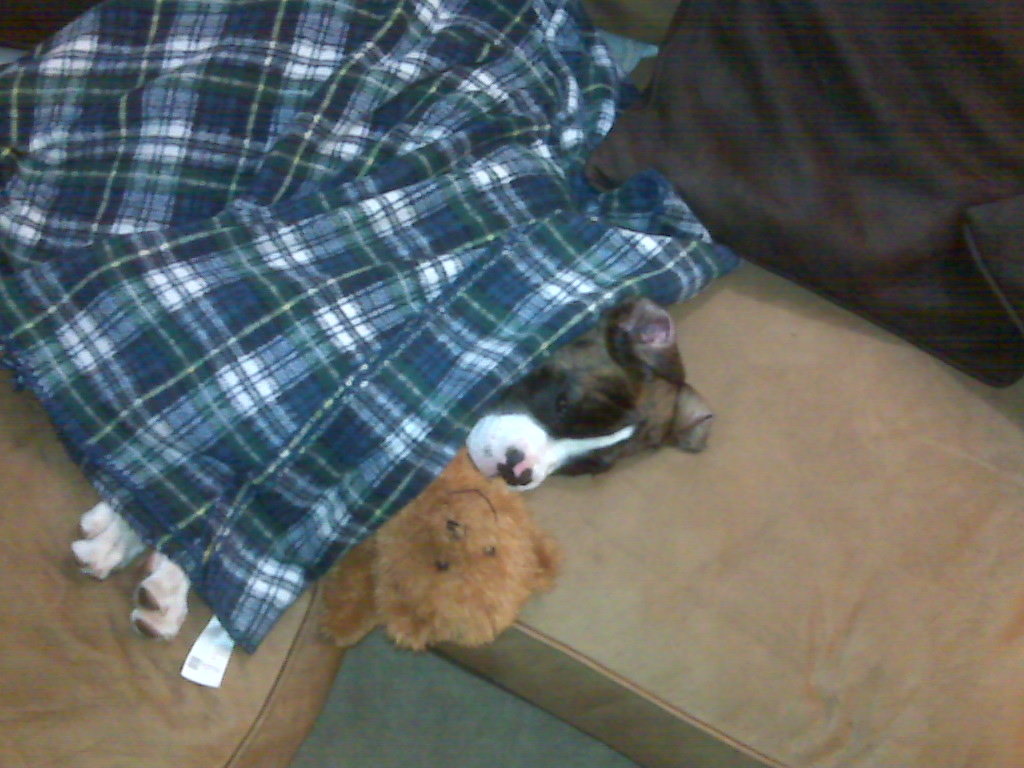 IMG00054.jpg