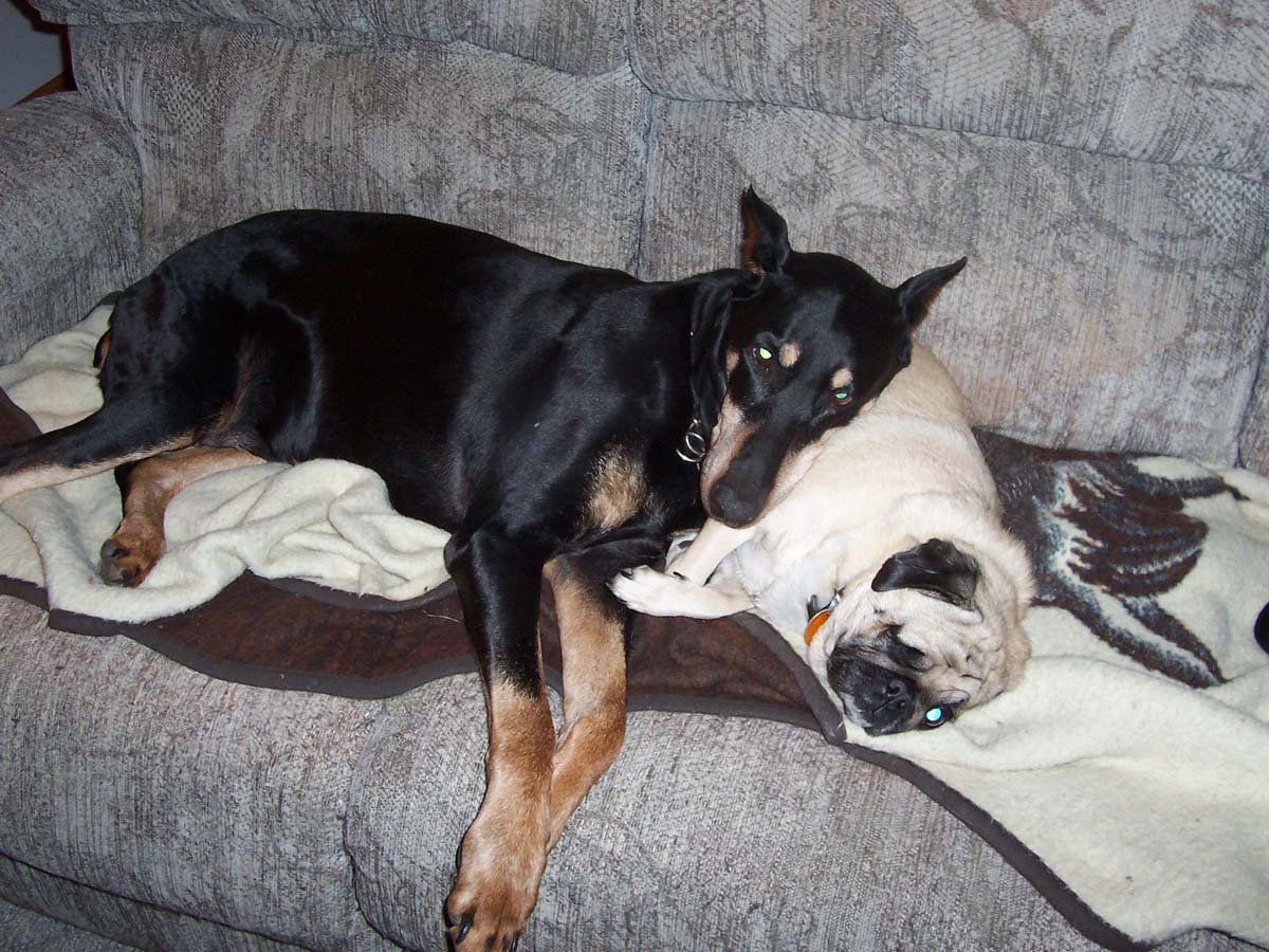 desa and lucy 2006 med size.jpg