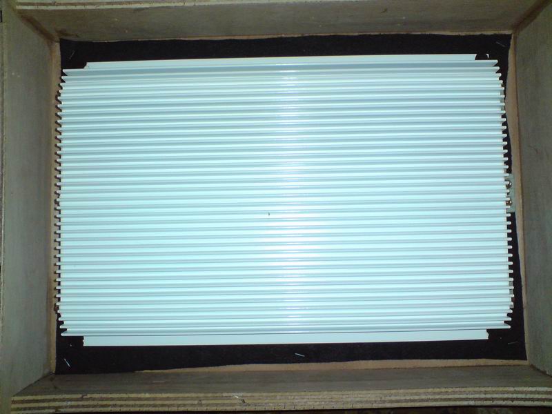 Resize of DSC00191.JPG