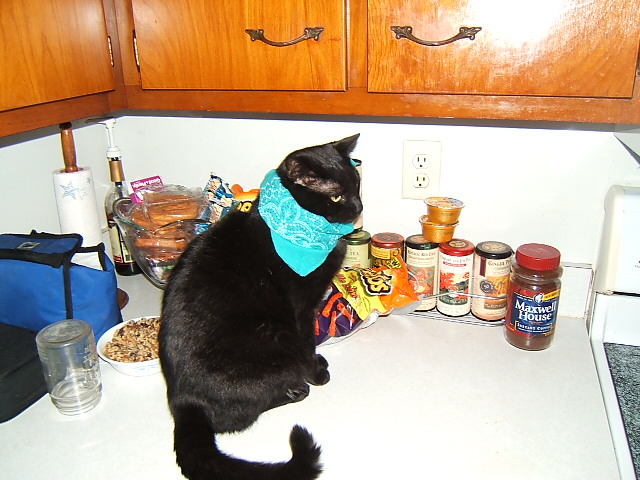 DSCF2671.JPG