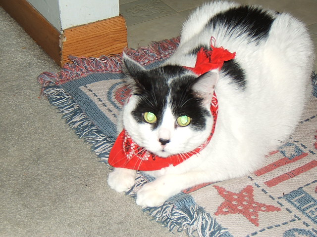 DSCF2663.JPG