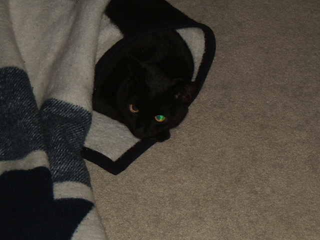 DSCF2657.JPG