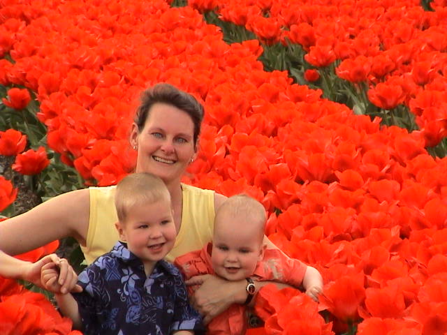 WIL IN TULPEN EN CYCLONE 002.jpg