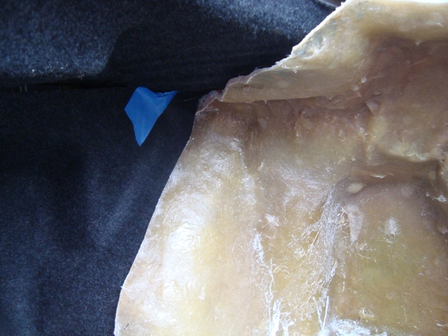 DSC02540-2.jpg