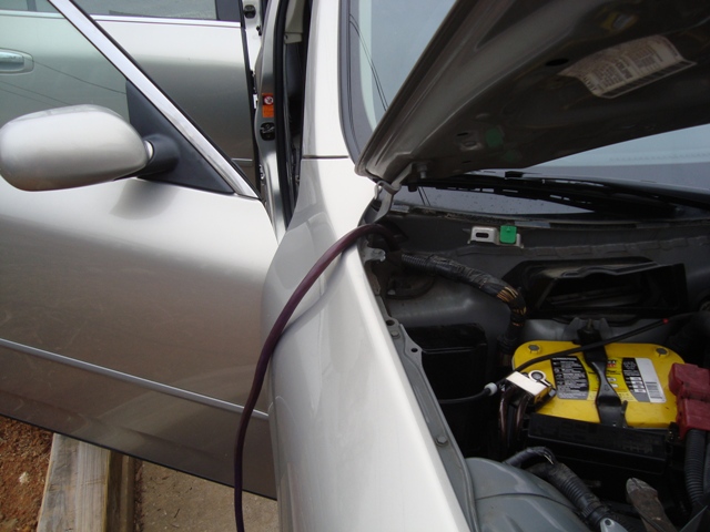 DSC02744-2.jpg
