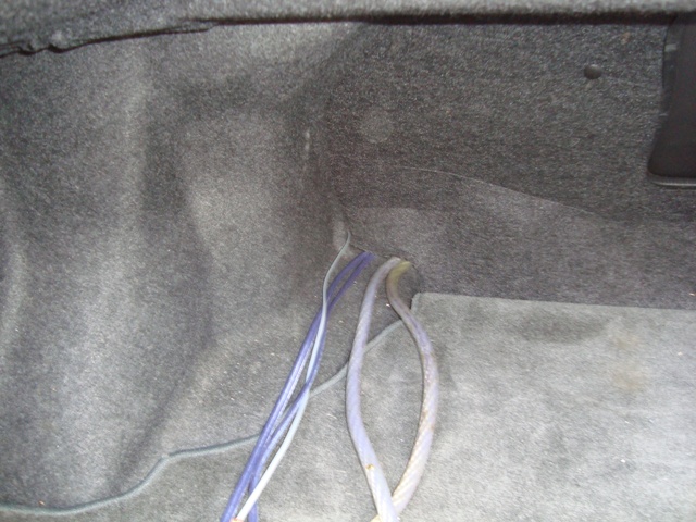 DSC02776-2.jpg