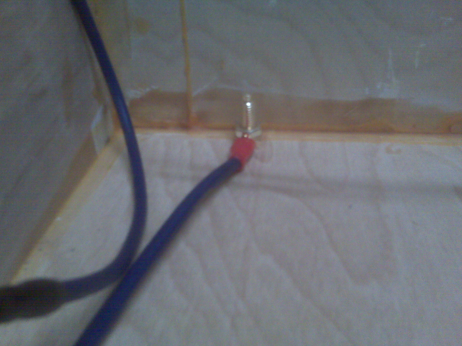 IMG00011.jpg