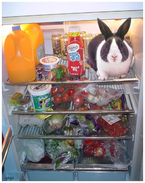 image001.jpg