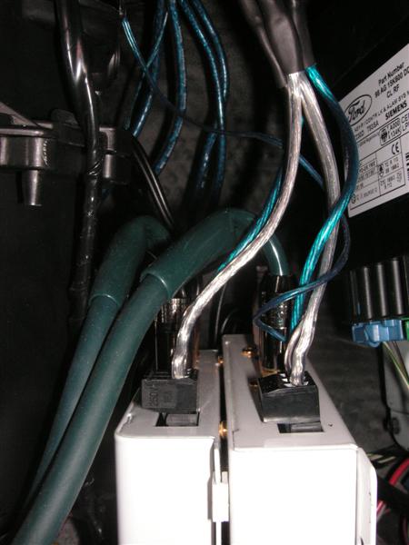 PICT0005 (Medium).JPG