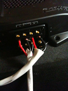 here is what the speaker terminals look like. I was messing with the configurations. This isn't bridged is it? Refer to the + _ _ - diagrams above for what I think is bridged.