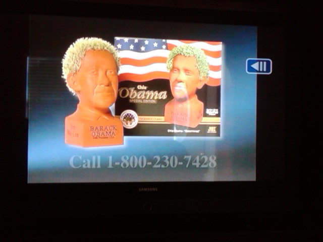 obama_chia_pet.jpg