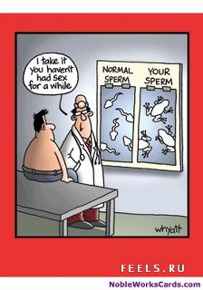 Frog Sperm.jpg