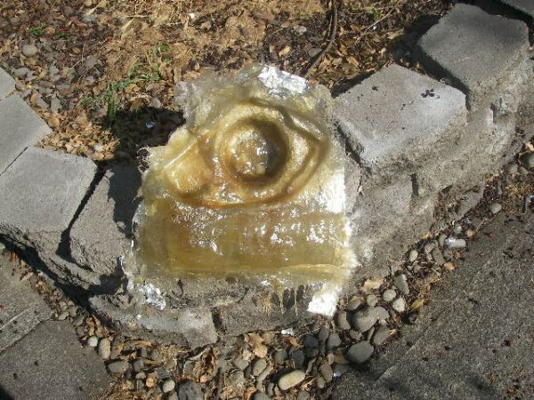 IMGP1201.JPG